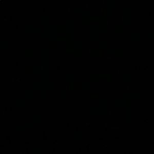 Meet your Posher, Shayleigh